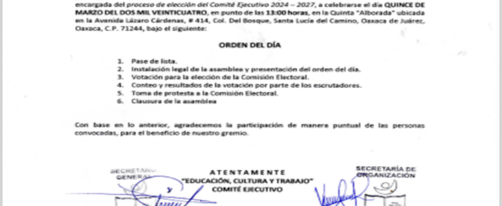 Convocatoria para la Elección de la Comisión Electoral encargada del proceso de elección del Comité Ejecutivo 2024-2027.